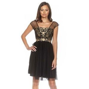 Women's Lace & Beads Nordstrom Embroider Black Mesh Skater Dress XSmall 1580